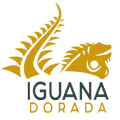 Iguana Dorada